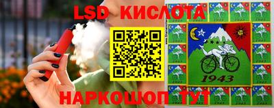 шишки Балашиха