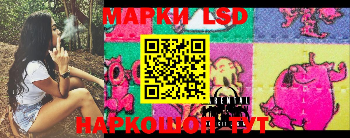 Марки 25I-NBOMe 1,5мг Богданович