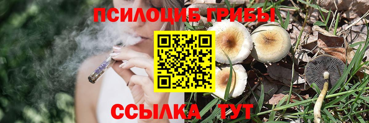Галлюциногенные грибы Magic Shrooms Богданович